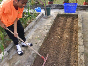 kebun.jpg